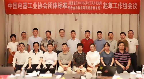 中國電器工業協會與遠東電纜起草工作會